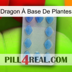 Dragon À Base De Plantes 21